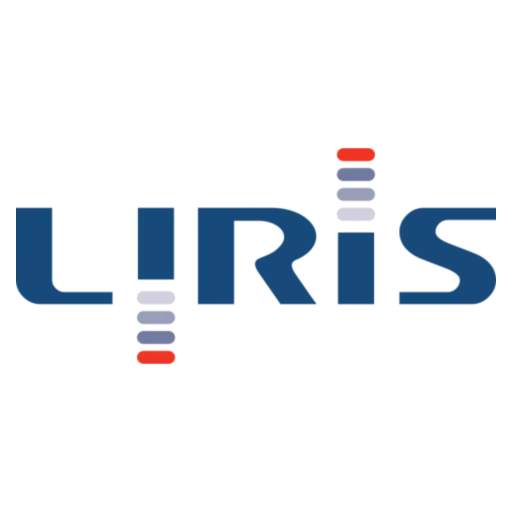 Internship at LIRIS