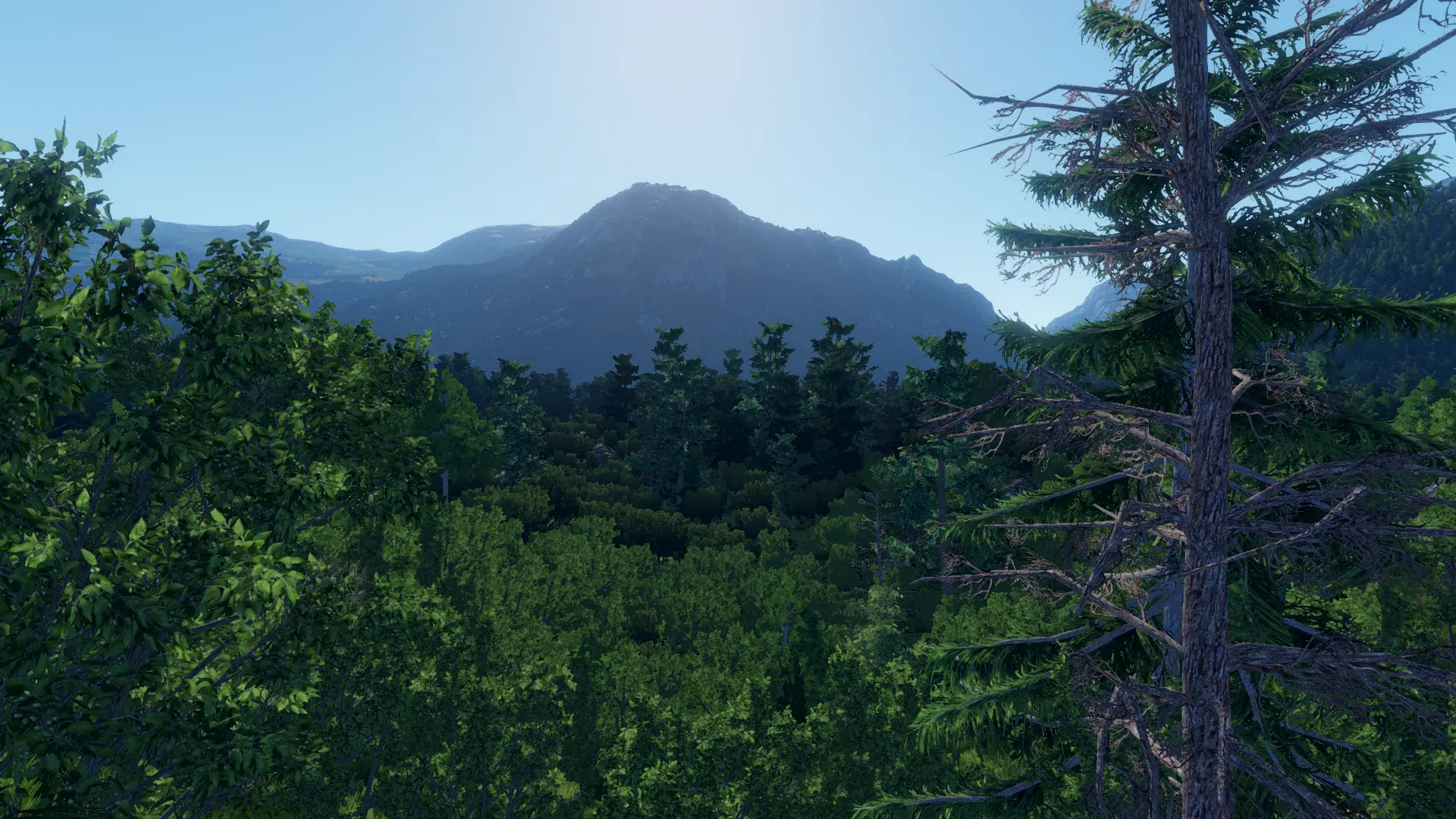 Terrain Engine